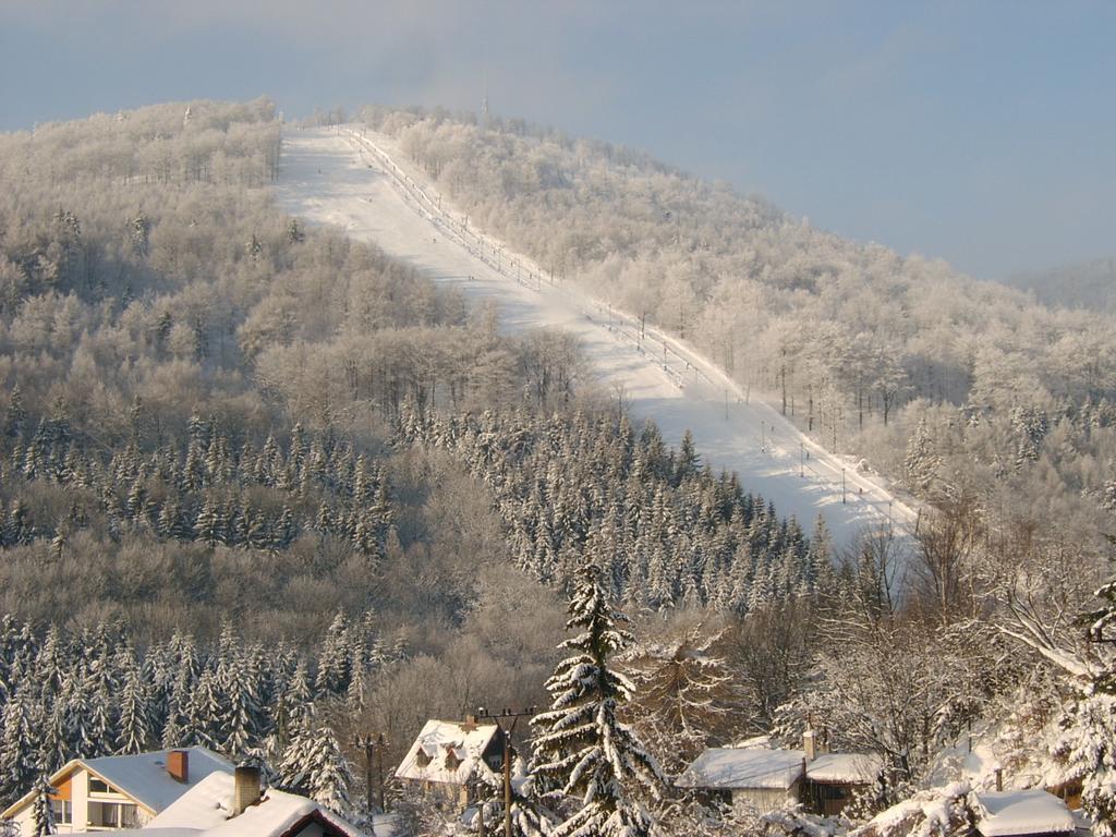 Pension Mikulka Mikulov v Krusnych Horach Exteriér fotografie